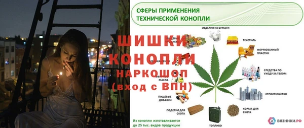 каннабис Белокуриха