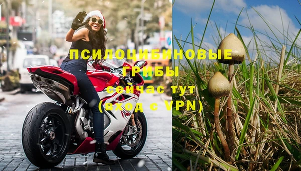 каннабис Белокуриха